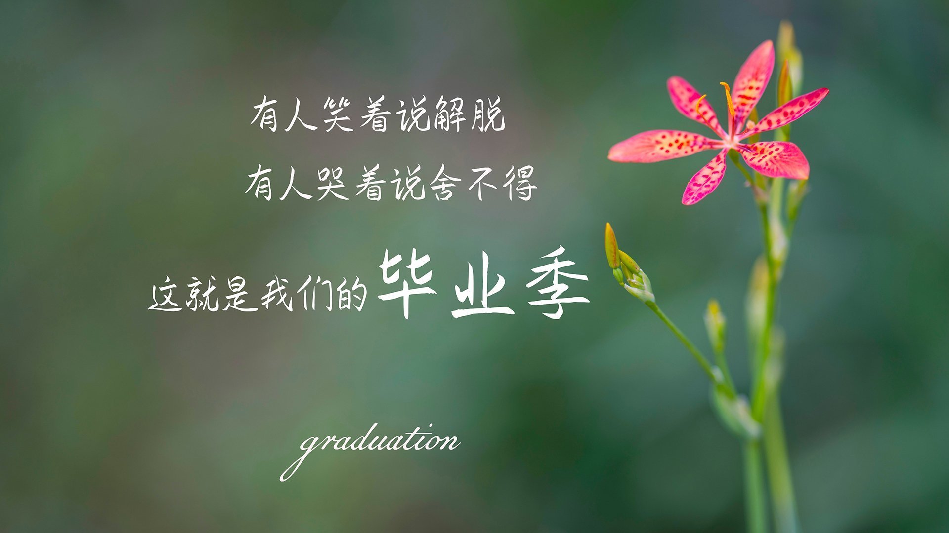 远射“炸裂”：那些辉煌瞬间震撼全场，远射兵击