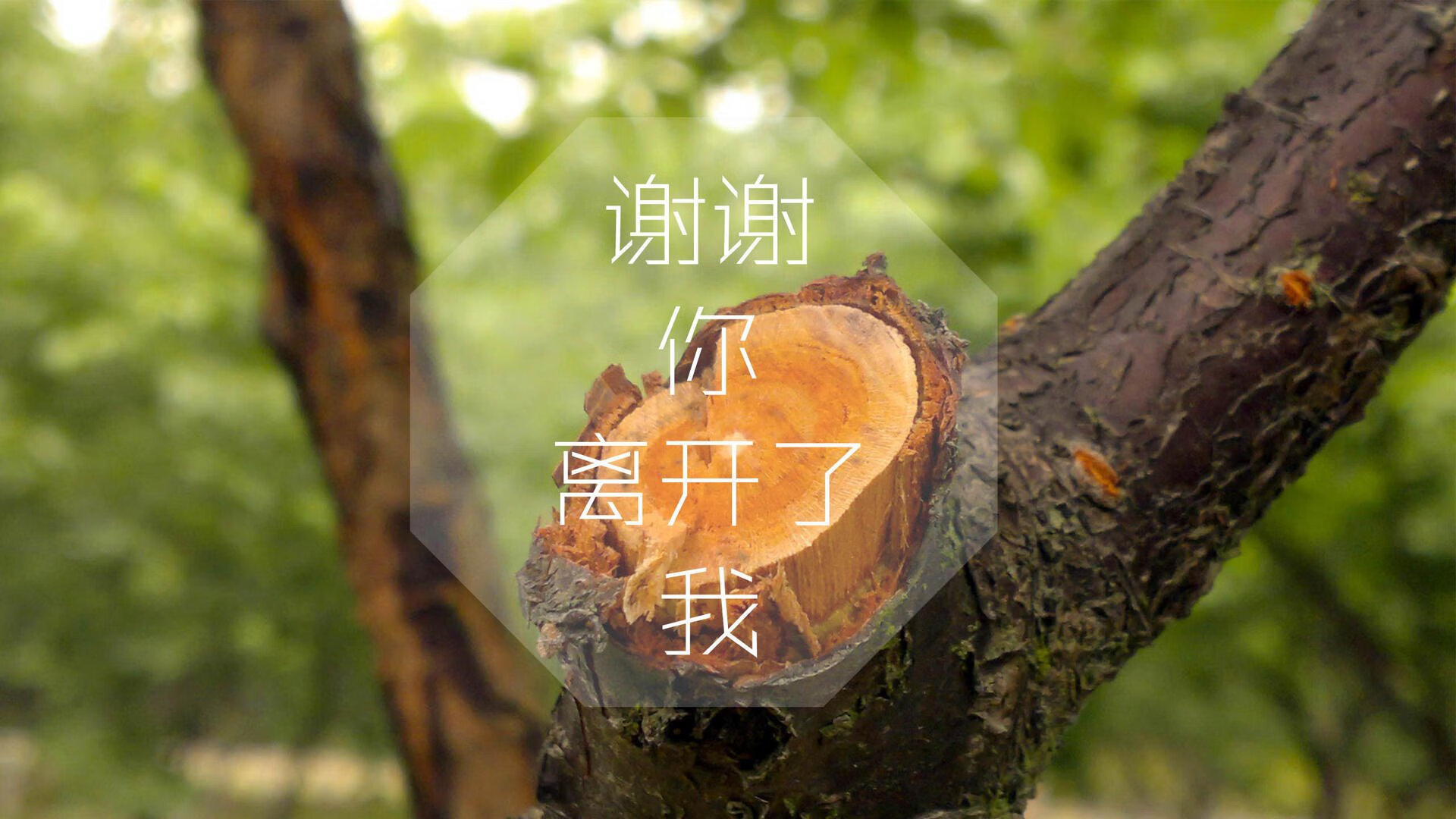 爱游戏在线登录入口-英超裁判组语义同步工具用于多裁联动判罚协同测试，英超裁判出牌