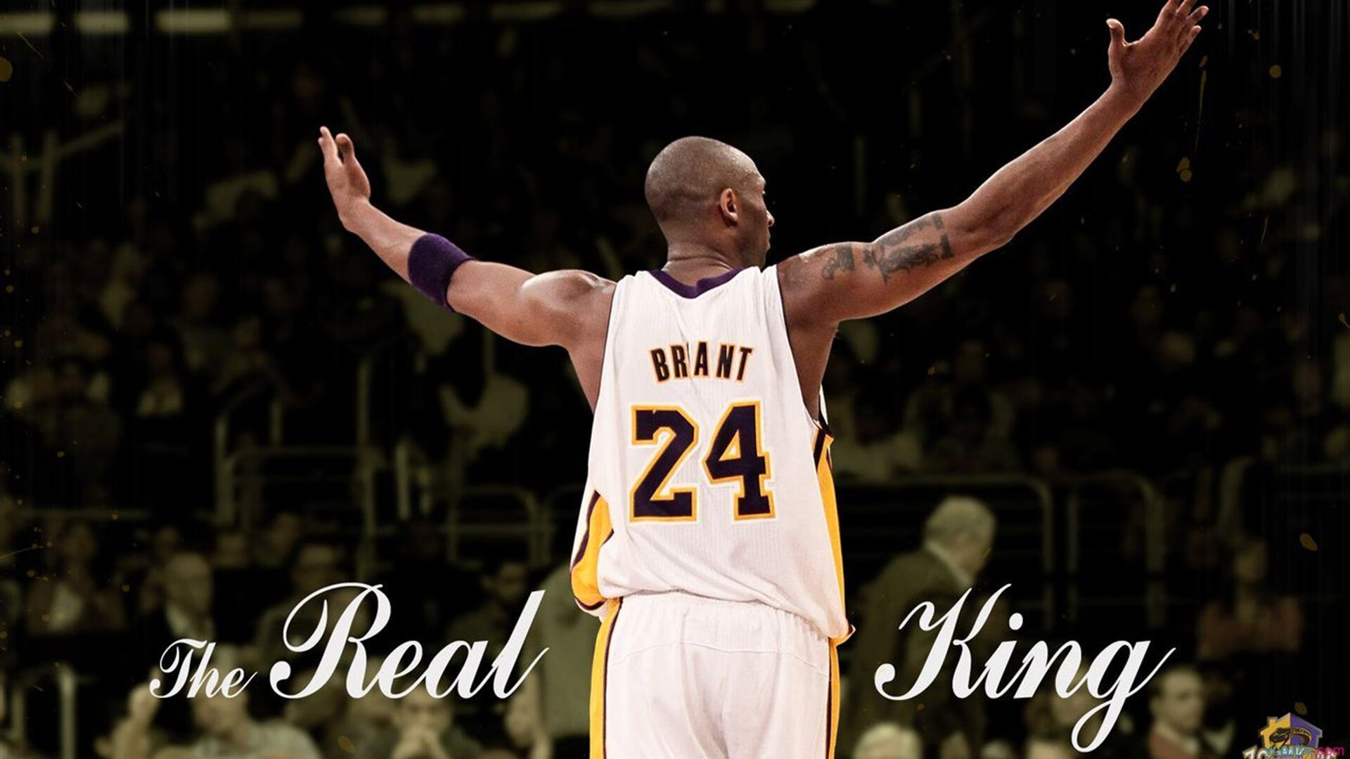 全明星投票热潮，粉丝热情点燃全联盟，全明星投票规则